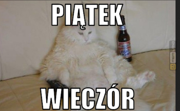 Śmieszny mem: 8054253 - MemLand