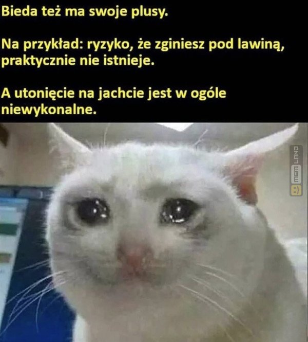 Śmieszny mem: 8056605 - MemLand
