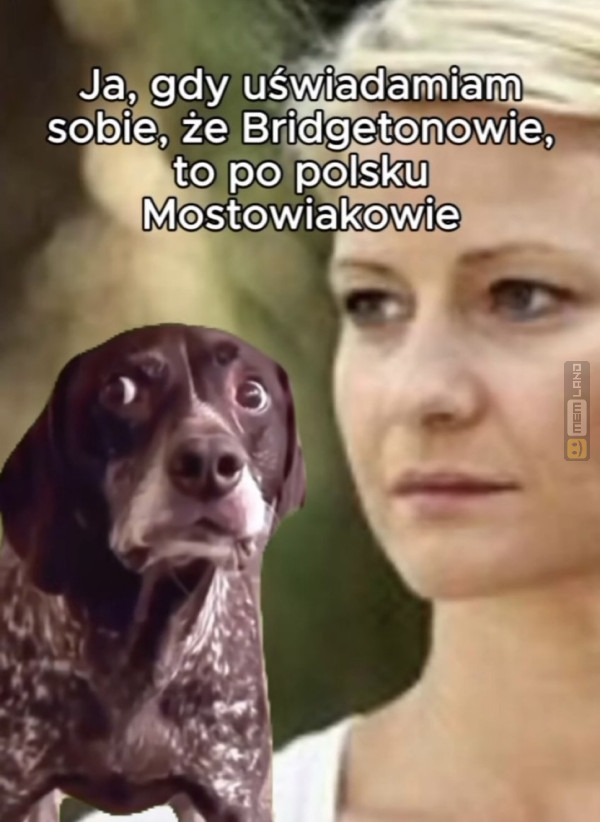 Śmieszny mem: 8057463 - MemLand