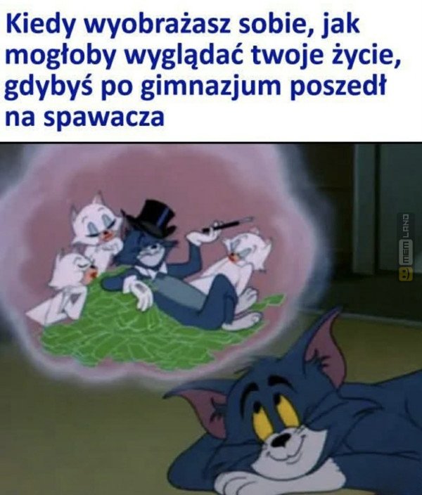 Śmieszny mem: 8058454 - MemLand