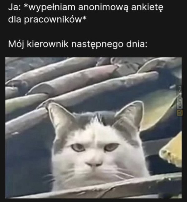 Śmieszny mem: 8058632 - MemLand