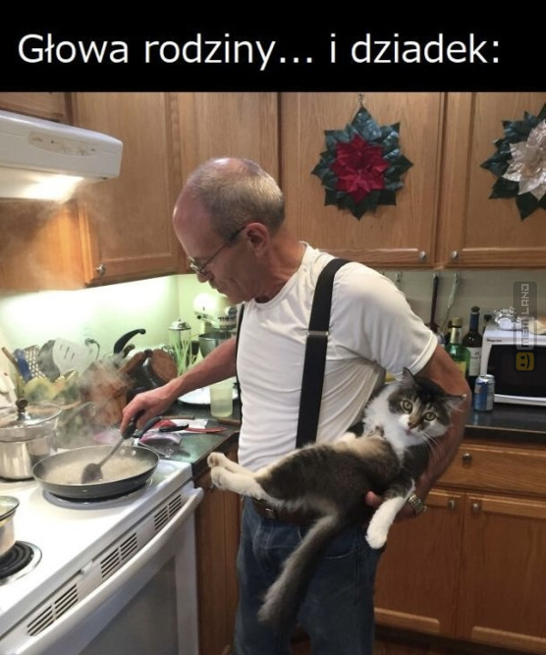 Śmieszny mem: 8059245 - MemLand