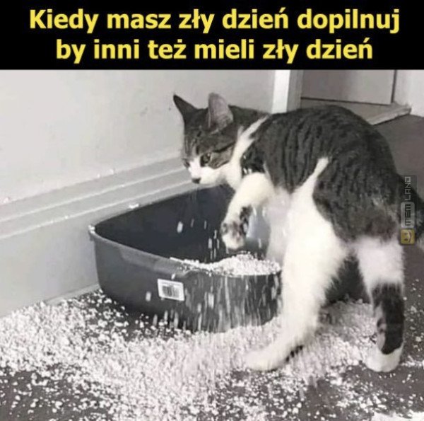 Śmieszny mem: 8066512 - MemLand