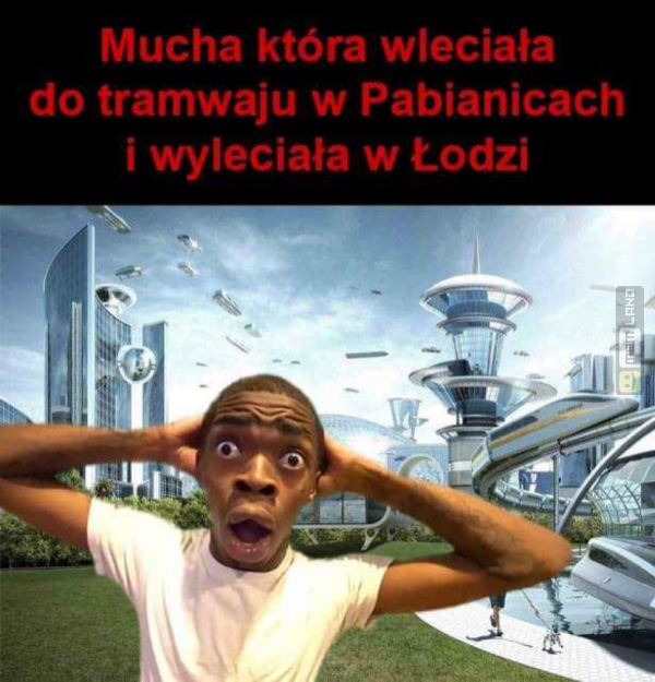 Śmieszny mem: 8066634 - MemLand