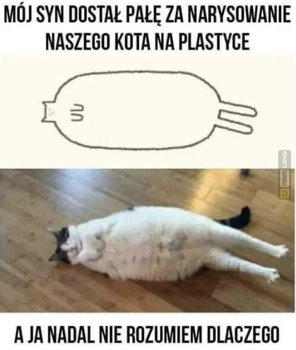 Śmieszny mem: 8069010 - MemLand