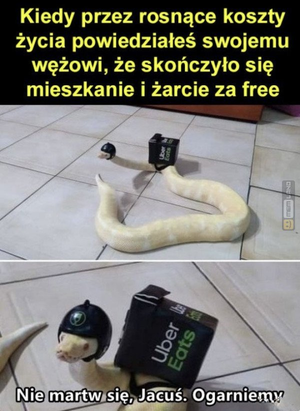 Śmieszny mem: 8073046 - MemLand