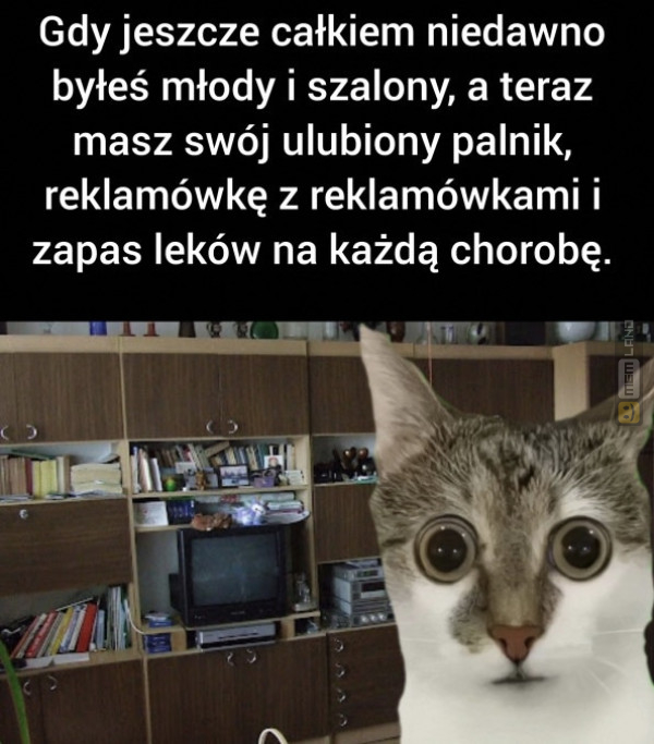 Śmieszny mem: 8073328 - MemLand