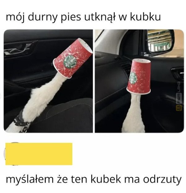 Śmieszny mem: 8073645 - MemLand