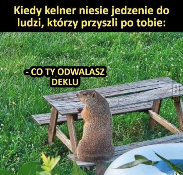Śmieszny mem: 8076745 - MemLand