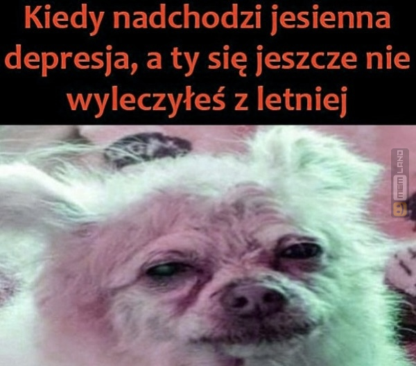 Śmieszny mem: 8079360 - MemLand