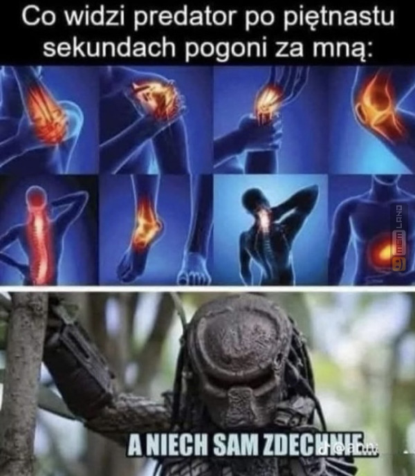 Śmieszny mem: 8090404 - MemLand