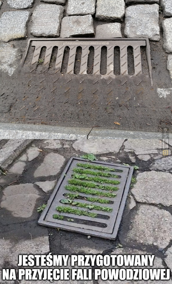 Śmieszny mem: 8104065 - MemLand