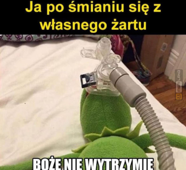 Śmieszny mem: 8106142 - MemLand