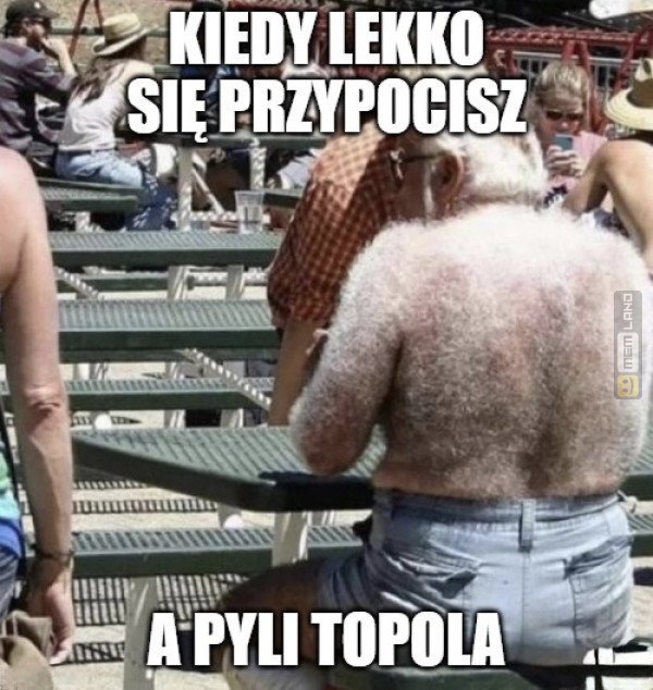 Śmieszny mem: 8107793 - MemLand