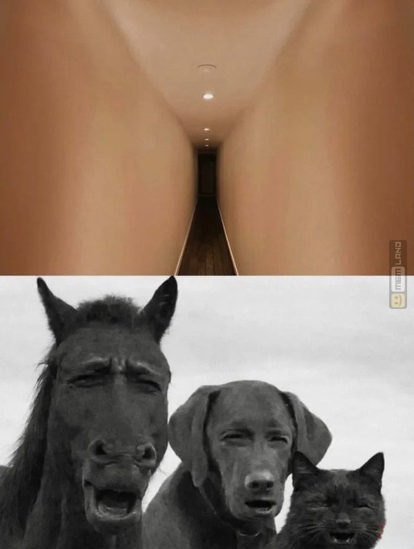 Śmieszny mem: 8111982 - MemLand