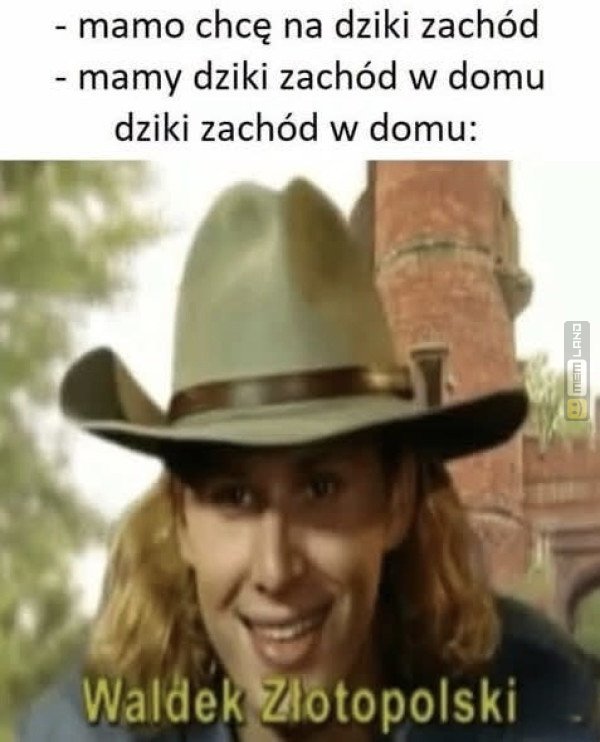 Śmieszny mem: 8115732 - MemLand