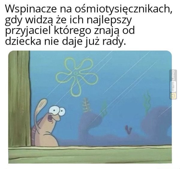 Śmieszny mem: 8119157 - MemLand