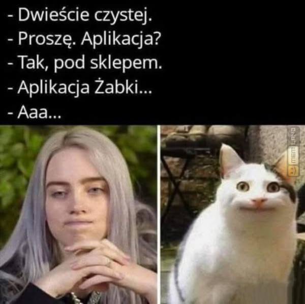 Śmieszny mem: 8121910 - MemLand