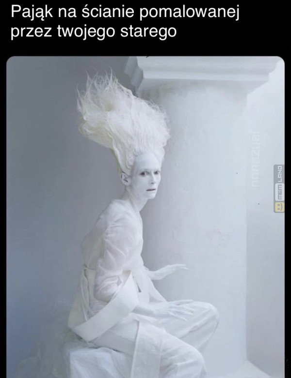 Śmieszny mem: 8125060 - MemLand