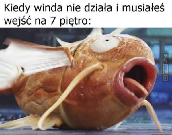Śmieszny mem: 8125543 - MemLand