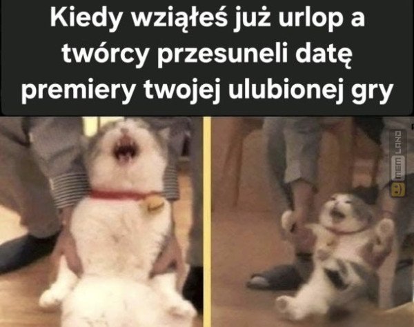 Śmieszny mem: 8138049 - MemLand