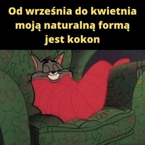 Śmieszny mem: 8141999 - MemLand