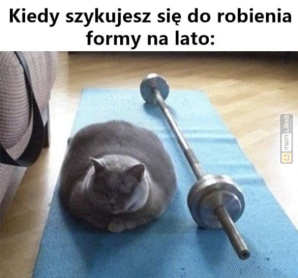 Śmieszny mem: 8148810 - MemLand