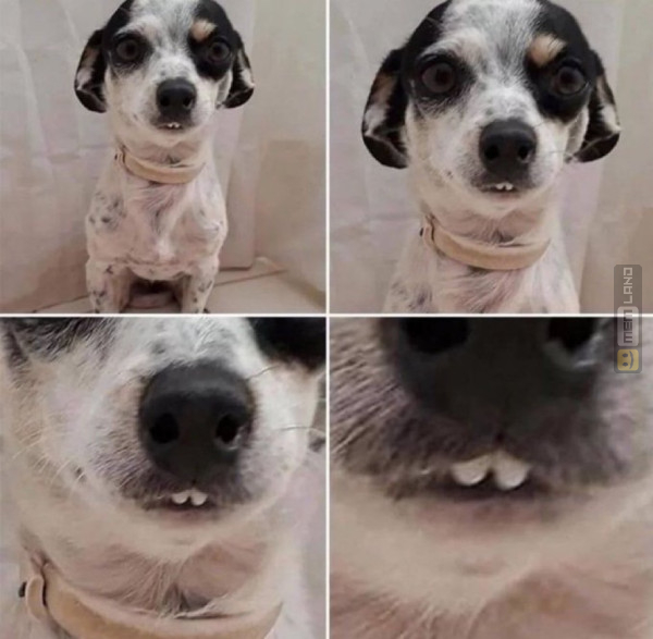 Śmieszny mem: 8165167 - MemLand