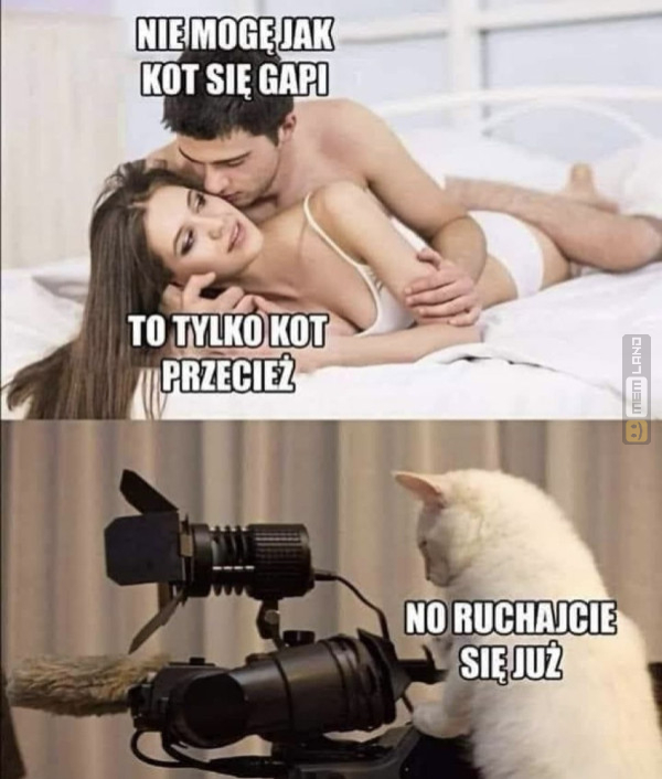 Śmieszny mem: 8166658 - MemLand