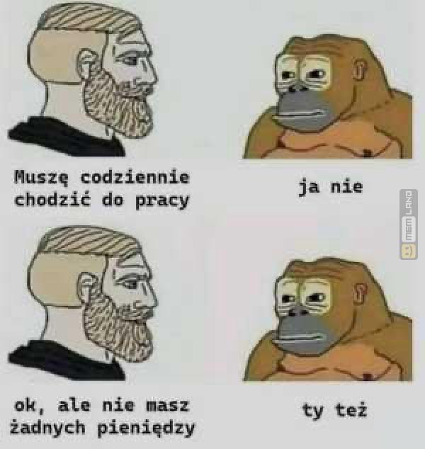 Śmieszny mem: 8167058 - MemLand