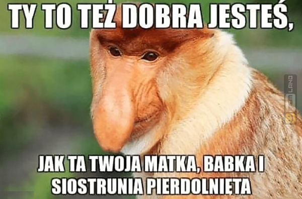 Śmieszny mem: 8180214 - MemLand