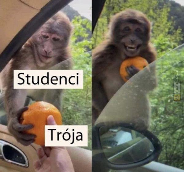 Śmieszny mem: 8181576 - MemLand