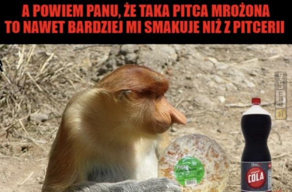 Śmieszny mem: 8182284 - MemLand