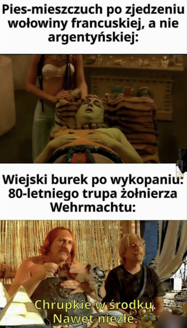 Śmieszny mem: 8190722 - MemLand