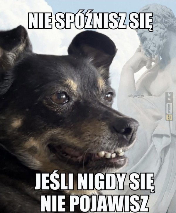 Śmieszny mem: 8205139 - MemLand