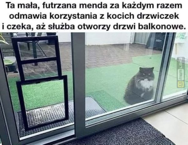 Śmieszny mem: 8208638 - MemLand