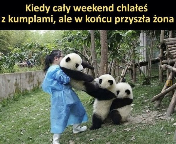 Śmieszny mem: 8209335 - MemLand