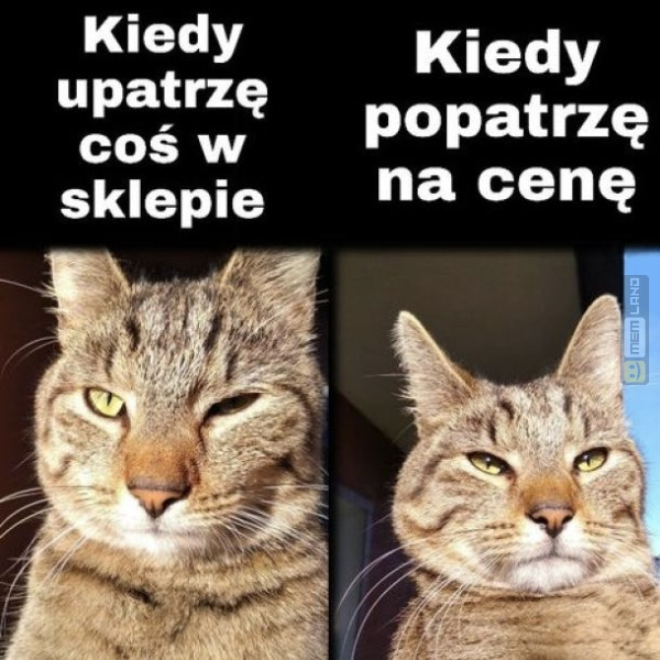 Śmieszny mem: 8213117 - MemLand