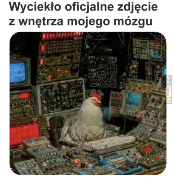 Śmieszny mem: 8215566 - MemLand