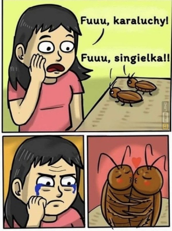 Śmieszny mem: 8217596 - MemLand