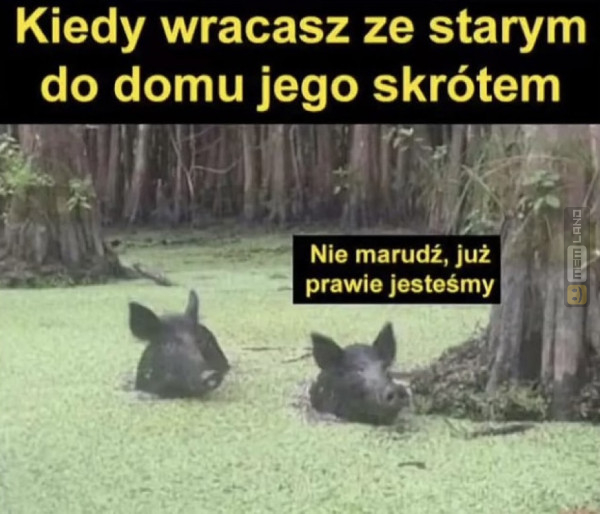 Śmieszny mem: 8218244 - MemLand