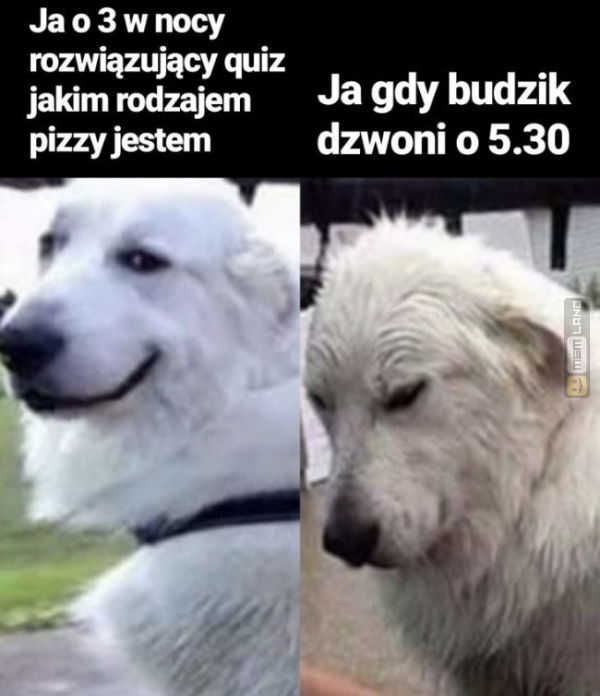 Śmieszny mem: 8222548 - MemLand