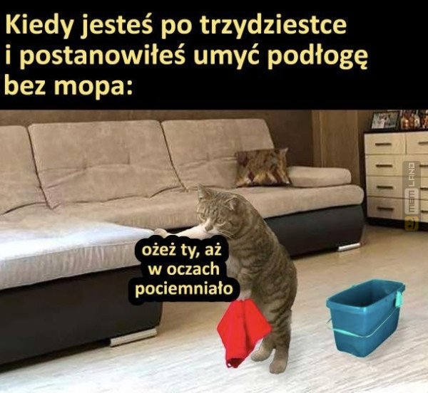 Śmieszny mem: 8232242 - MemLand