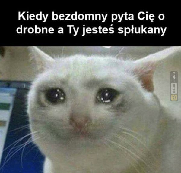 Śmieszny mem: 8233953 - MemLand