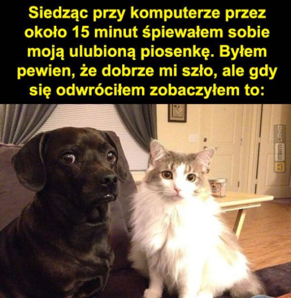 Śmieszny mem: 8242780 - MemLand