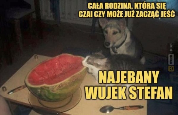 Śmieszny mem: 8245895 - MemLand