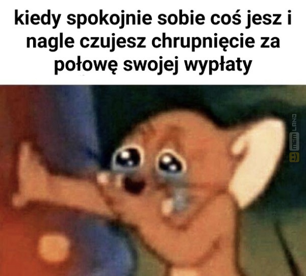 Śmieszny mem: 8248249 - MemLand