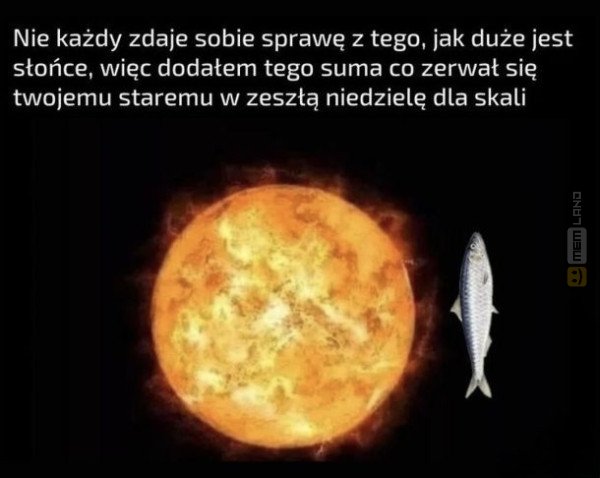 Śmieszny mem: 8248699 - MemLand