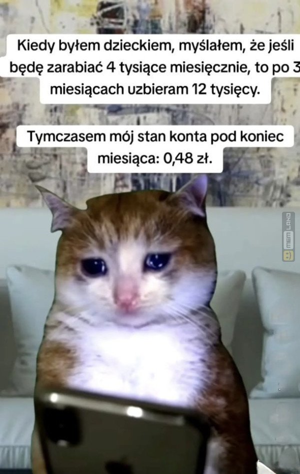 Śmieszny mem: 8249021 - MemLand