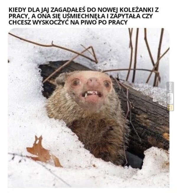 Śmieszny mem: 8249705 - MemLand